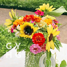 Load image into Gallery viewer, Mrs Burn's Heirloom Lemon Basil Herbs Hydroponic Seeds