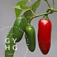 Load image into Gallery viewer, Jalapeño Hot Pepper Hydroponic Seeds