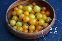 Load image into Gallery viewer, Jochalos Microdwarf Tomato Seeds for Sale