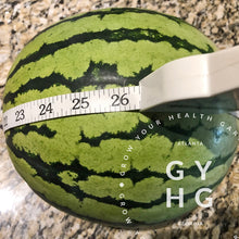 Load image into Gallery viewer, Merrimack Watermelon Sugar Baby