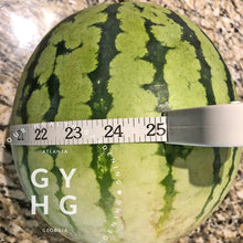 Load image into Gallery viewer, Merrimack Watermelon Size Comparison
