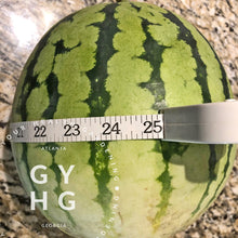 Load image into Gallery viewer, Merrimack Watermelon Size Comparison