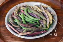 Load image into Gallery viewer, Dragon Tongue Bush Bean Heirloom Mix