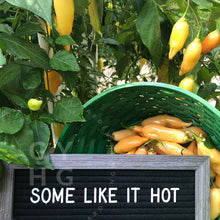 Load image into Gallery viewer, Sugar Rush Peach Pepper Some Like it Hot