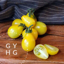 Load image into Gallery viewer, Yellow and Red Fig Pear Heirloom Cherry Tomato Seed Collections