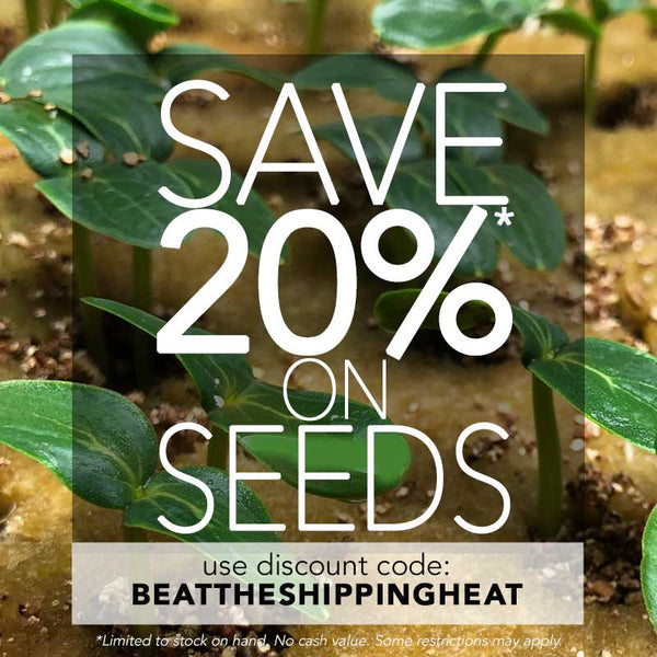 Save 20% off on Seeds