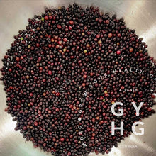 Load image into Gallery viewer, Adams Elderberry Trees // Medicinal Berry Bushes // Live Young Plants (2 Plant Bundle)
