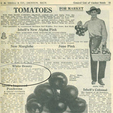Load image into Gallery viewer, 1927 Isbell Seed Catalog page 65 featuring description of White Beauty Tomato. Touted as low acid.
