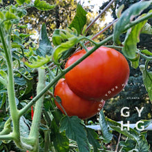 Load image into Gallery viewer, Beefsteak Heirloom Tomato Seeds
