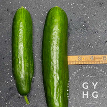 Load image into Gallery viewer, Beit Alpha Cucumber Seeds (Great for Pickling!)
