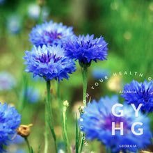 Load image into Gallery viewer, Blue Bachelor Button Flower Seeds for Sale
