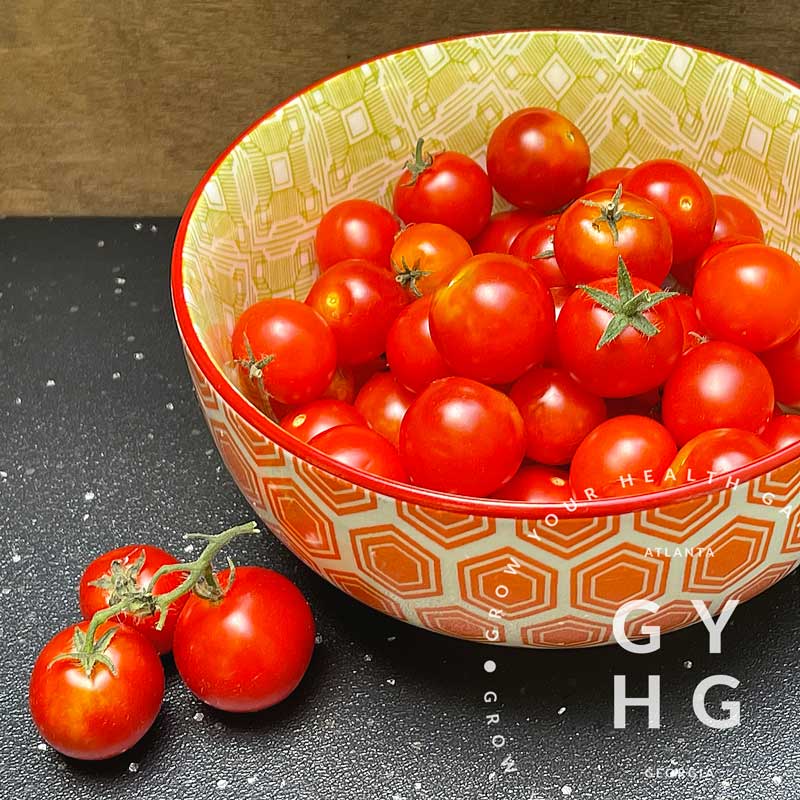 Bonsai Micro Dwarf Cherry Tomato Hydroponic Seeds (Rare) – Grow Your Health  Gardening