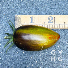 Load image into Gallery viewer, Size comparison of Brad&#39;s Atomic Grape Tomato seed for sale
