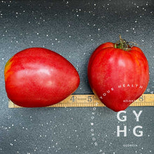 Load image into Gallery viewer, Cancelmo Family Heirloom Paste Red Tomato Size Comparison 4&quot; - 5&quot; inches in length and 3&quot; - 4&quot; in width
