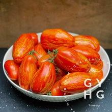 Load image into Gallery viewer, Casady&#39;s Folly Paste Plum Tomato Tom Wagner Variety 

