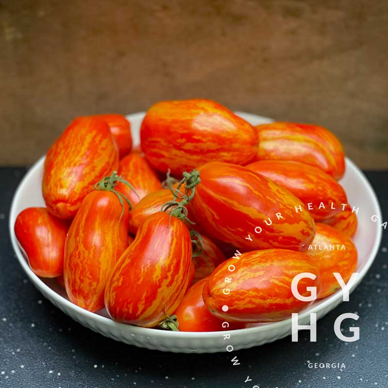 Casady's Folly Roman Tomato Seeds (Tom Wagner Variety) – Grow Your