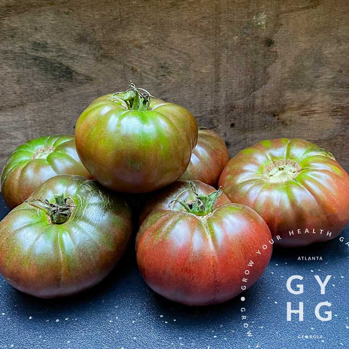 Cherokee Purple Heirloom Tomato hydroponic grown seed for sale
