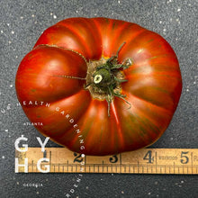 Load image into Gallery viewer, Chocolate Stripes Tomato Seeds
