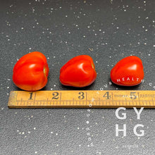 Load image into Gallery viewer, Size comparison of Gardener&#39;s Sweetheart Cherry Tomato showing they get to about an inch and a half in size
