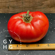 Load image into Gallery viewer, German Johnson Heirloom Tomato Variety Size Comparison
