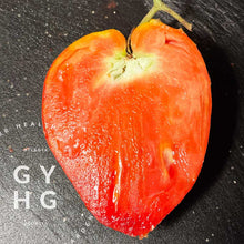 Load image into Gallery viewer, Goatbag Rare Heirloom Oxheart Tomato Variety Paste example
