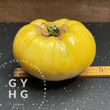Load image into Gallery viewer, Great White Heirloom Tomato Low-Acid Hydroponic Variety
