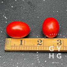 Load image into Gallery viewer, Hardin&#39;s Miniature Dwarf Red Cherry Tomato Seeds
