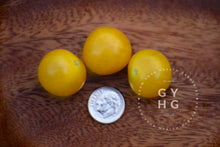 Load image into Gallery viewer, Jochalos Micro Dwarf Tomato for Sale Size Comparison

