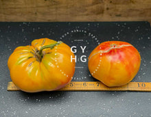 Load image into Gallery viewer, Pineapple Tomato a great slicer size comparison

