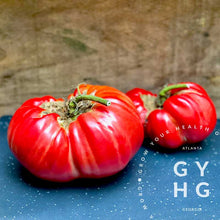 Load image into Gallery viewer, Pomodoro Farina Gigante Tomato Seed from Italy record holder and creator Mr. Remo Farina.
