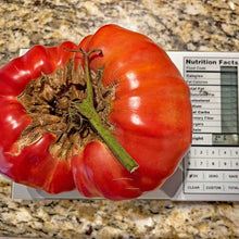 Load image into Gallery viewer, Pomodoro Farina Gigante Tomato Seed weighing in at 2 lbs 6 oz
