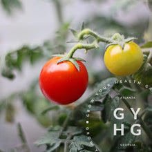 Load image into Gallery viewer, Red Robin Micro Dwarf Cherry Tomato
