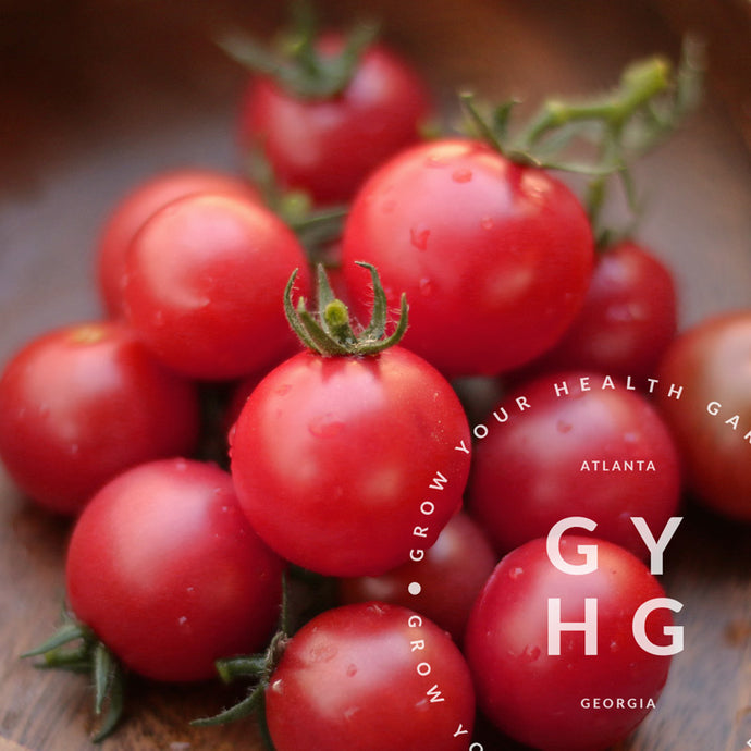 Rosy Finch Microdwarf Cherry Tomato Seeds - Tiny Tomatoes