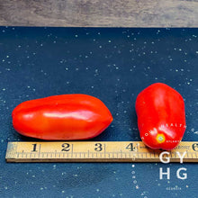 Load image into Gallery viewer, San Marzano Italian Tomato Paste Size Comparison

