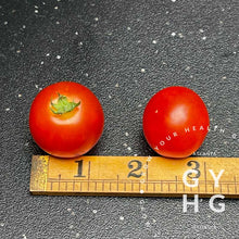 Load image into Gallery viewer, Snegirok Micro Dwarf Cherry Tomato Size Comparison
