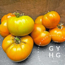 Load image into Gallery viewer, Thornburn&#39;s Heirloom Terra Cotta Tomato Group Shot
