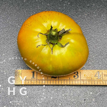 Load image into Gallery viewer, Thornburns  Heirloom Terra Cotta Tomato Size Comparison for seed

