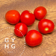 Load image into Gallery viewer, Tom Thumb Microdwarf Cherry Tomatoes for hydroponic Aerogarden and Tower Garden  - Tomato seed for sale vertical growing systems
