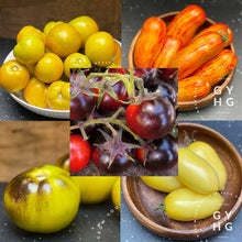 Load image into Gallery viewer, Fab-Five Tom Wagner Tomato Seed Collection (5 Sampler Pack of truly Unique Varieties)
