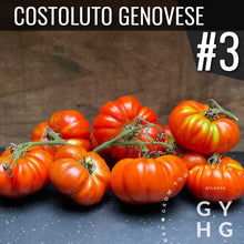 Load image into Gallery viewer, Costoluto Genovese Italian Heirloom Tomato our number 3 producing tomato of 2021

