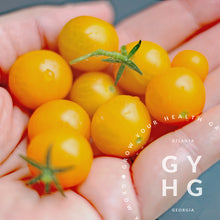 Load image into Gallery viewer, Venus Micro-dwarf Yellow Cherry Tomato

