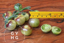Load image into Gallery viewer, Size Comparison Blue Cream Berries Cherry Tomato Heirloom Seed

