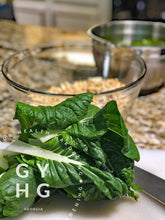 Load image into Gallery viewer, Hydroponic grown Bok Choy seed being prepared for Thanksgiving
