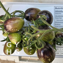 Load image into Gallery viewer, Brad&#39;s Atomic Grape Plum Tomato hydroponic seed for sale being weighed
