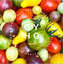 Load image into Gallery viewer, Cherry tomato medley featuring yellow pear cherry tomato, blue cream berries, black cherry, red fig pear cherry tomato
