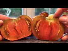 Load and play video in Gallery viewer, Video of hydroponic-adapted Paul Robeson Tomato being sliced open
