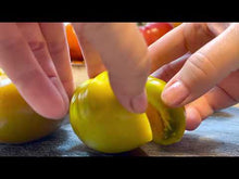 Load and play video in Gallery viewer, Thornburns Terra Cotta Heirloom Tomato grown out and sliced open 
