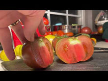 Load and play video in Gallery viewer, Black Passion Heirloom Tomato Hydroponic Adapted Seed for Sale Cut open example
