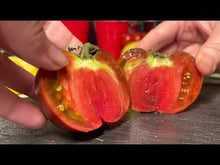 Load and play video in Gallery viewer, Cherokee Purple Heirloom Tomato being sliced open
