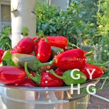 Load image into Gallery viewer, Jalapeño Hot Pepper Hydroponic Seeds
